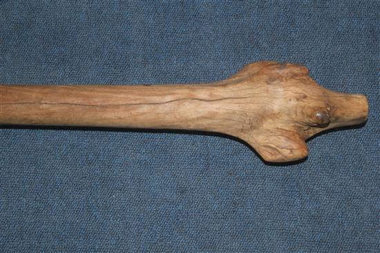 A large Fijian Vunikau root club, 43in.